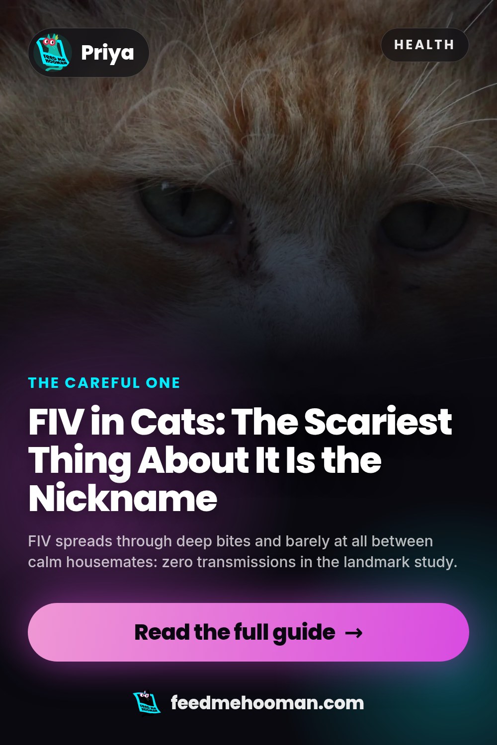 FIV in Cats: The Scariest Thing About It Is the Nickname