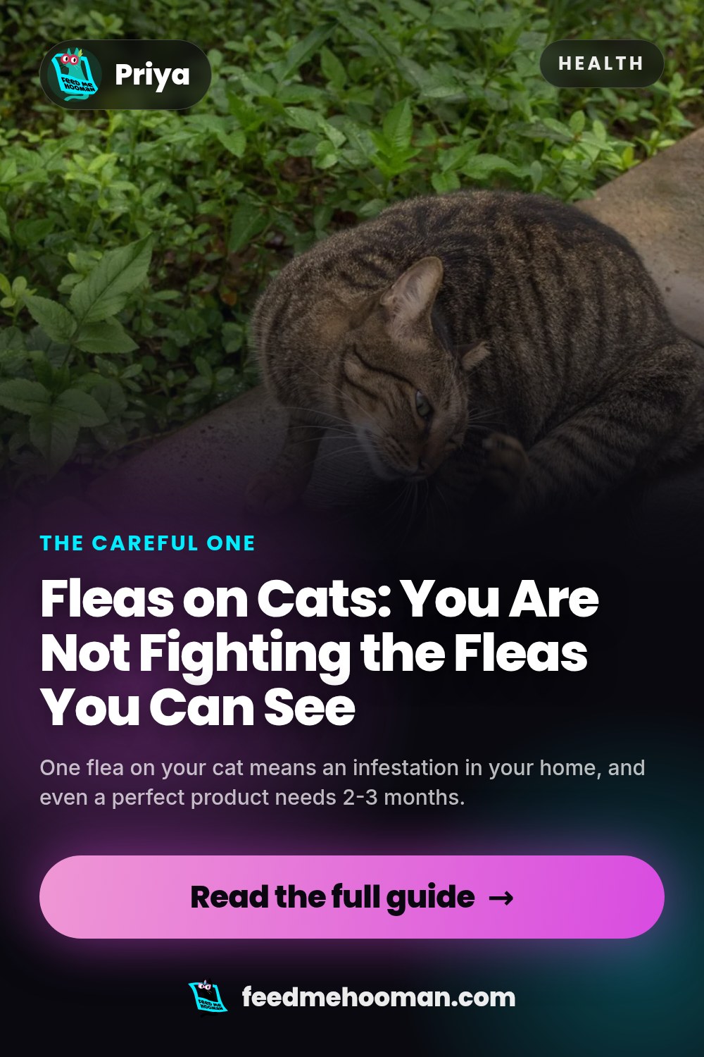 Fleas on Cats: You Are Not Fighting the Fleas You Can See