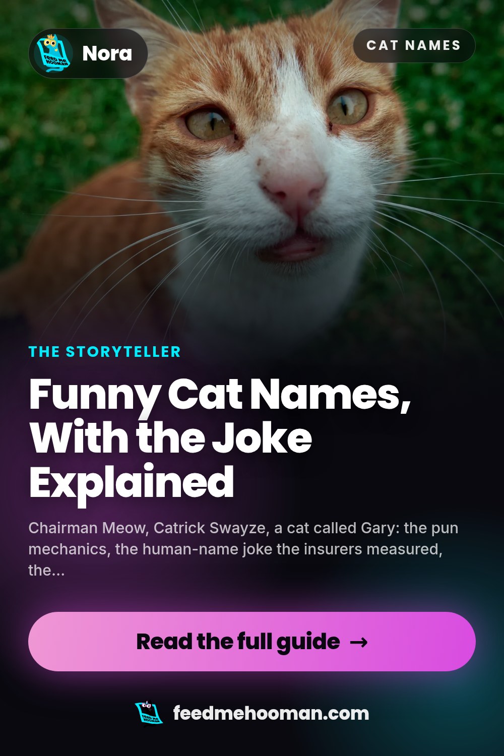 Funny Cat Names, With the Joke Explained