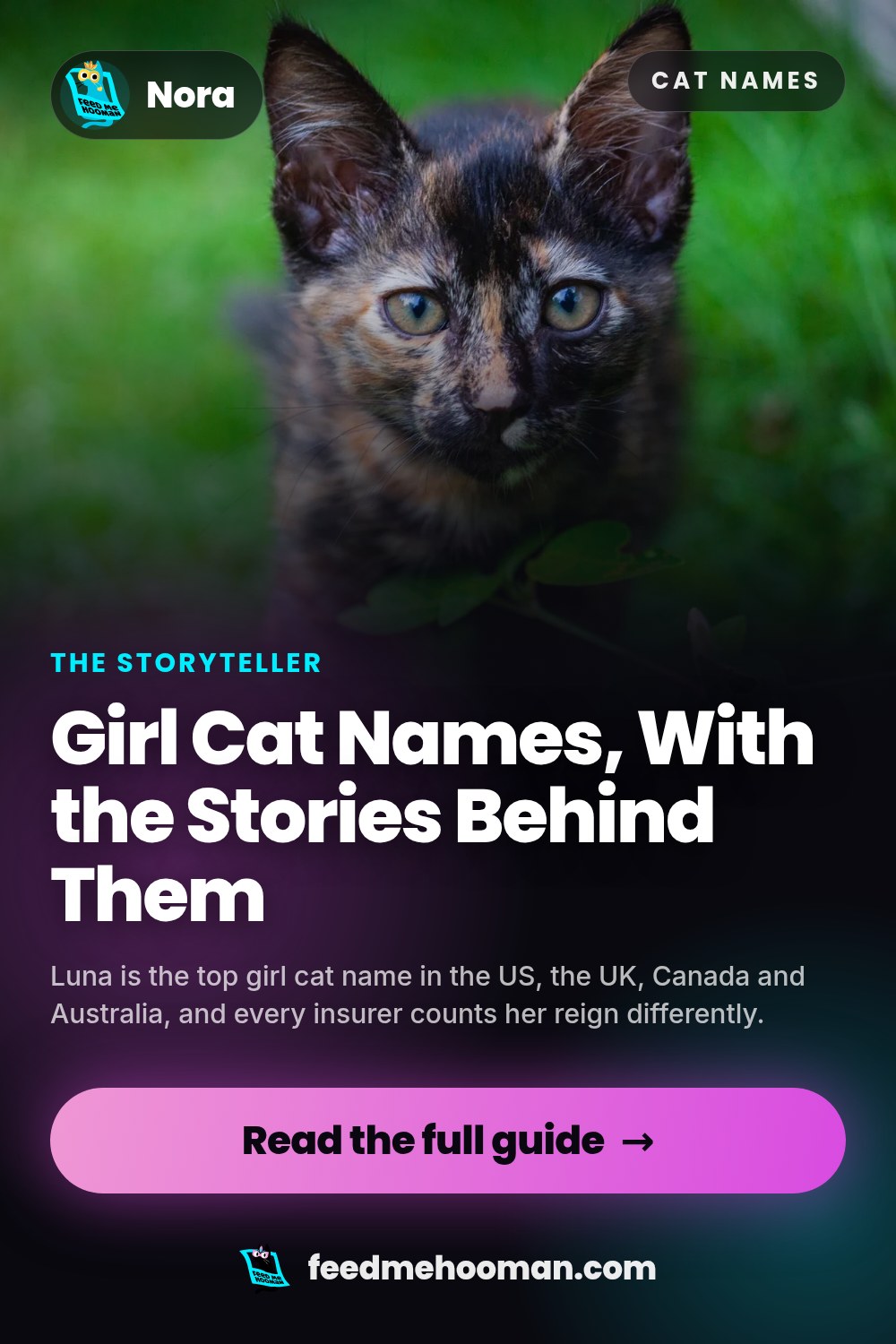 Girl Cat Names, With the Stories Behind Them