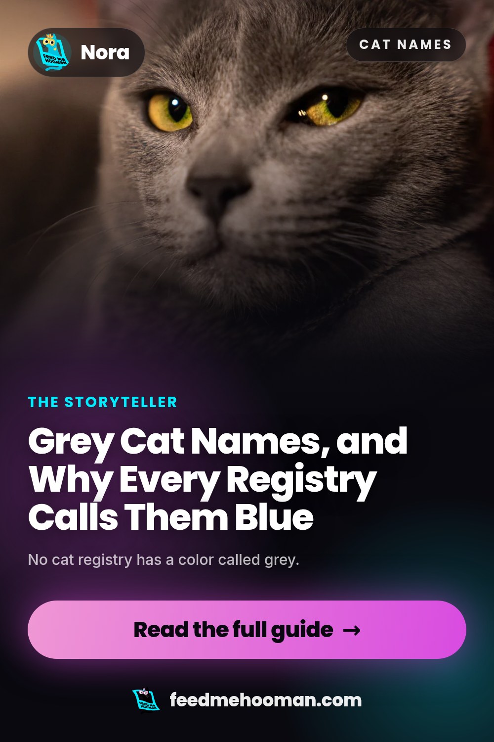 Grey Cat Names, and Why Every Registry Calls Them Blue