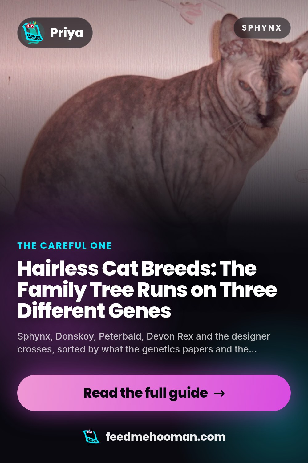 Hairless Cat Breeds: The Family Tree Runs on Three Different Genes