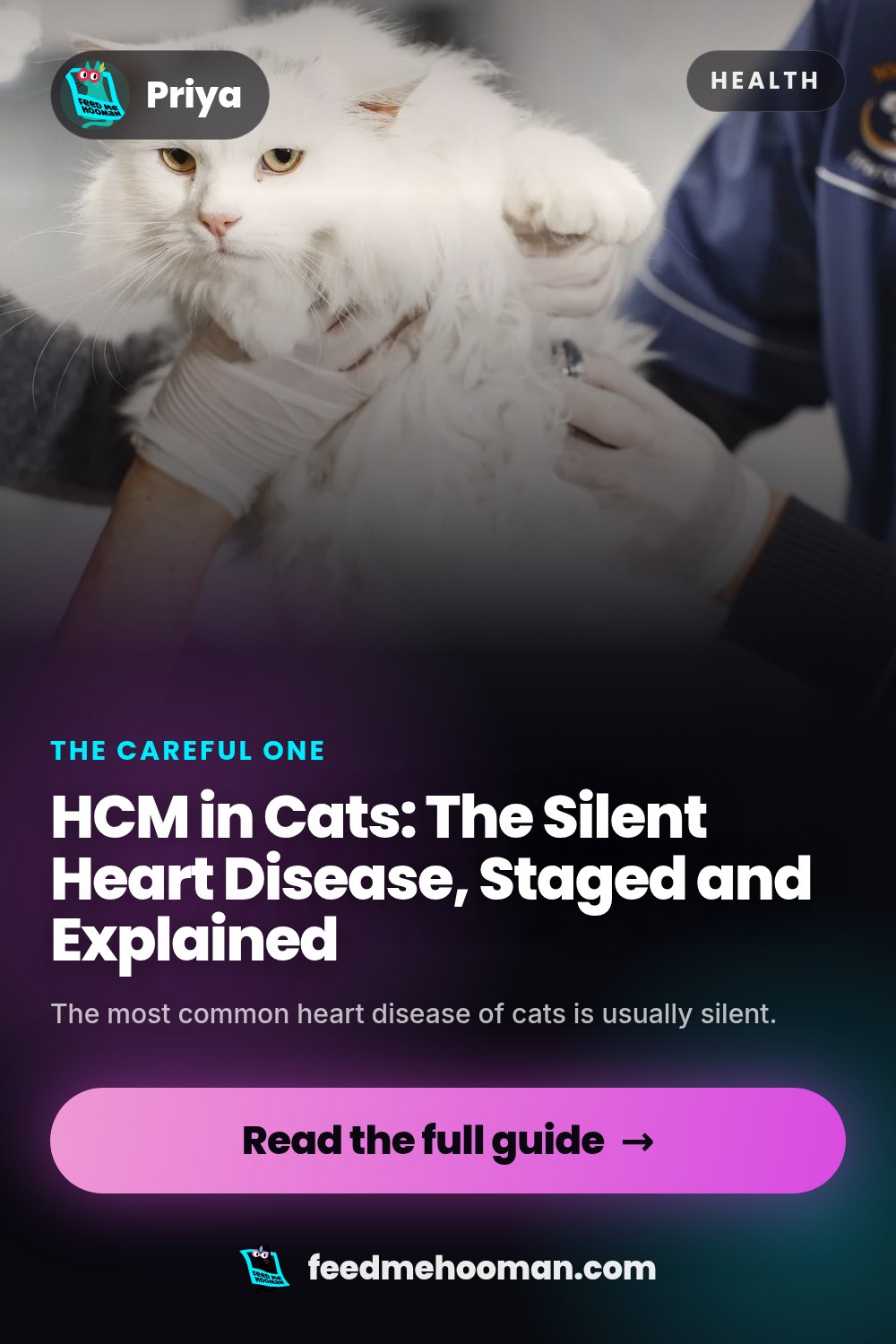 HCM in Cats: The Silent Heart Disease, Staged and Explained