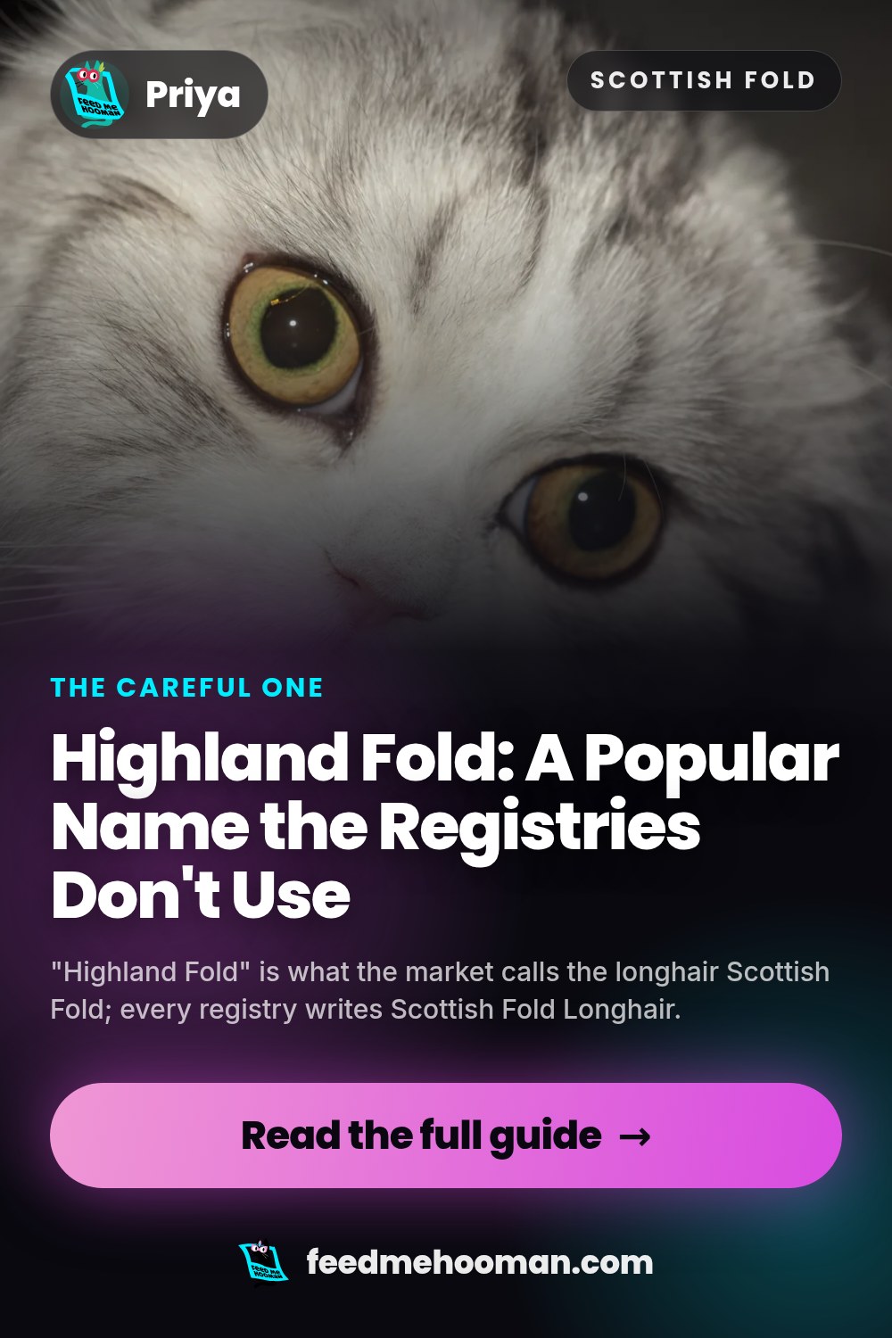 Highland Fold: A Popular Name the Registries Don't Use