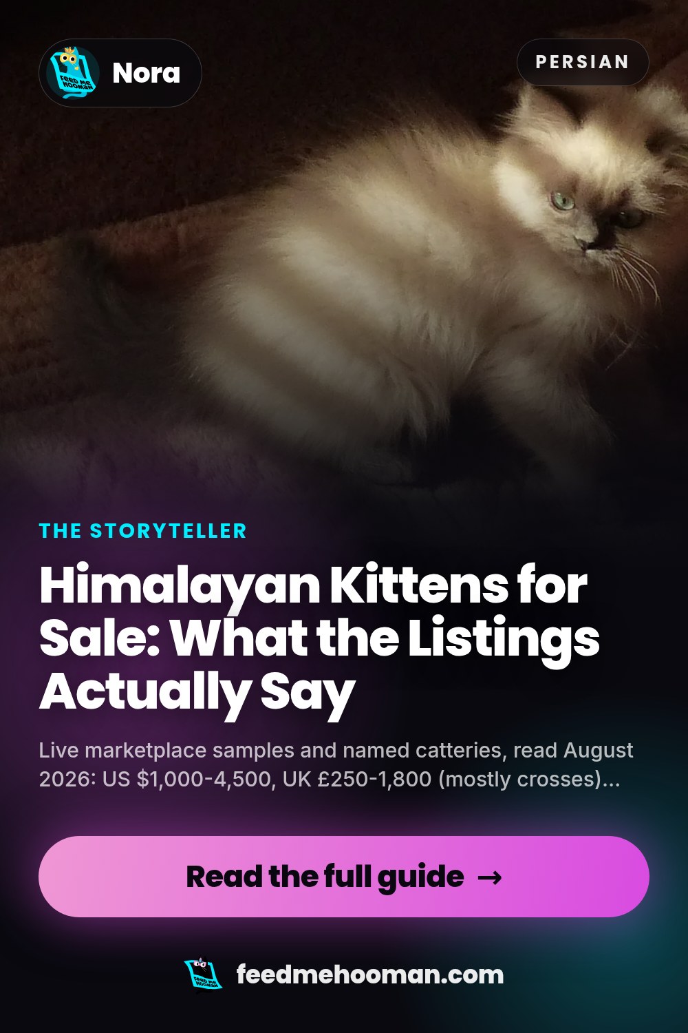 Himalayan Kittens for Sale: What the Listings Actually Say