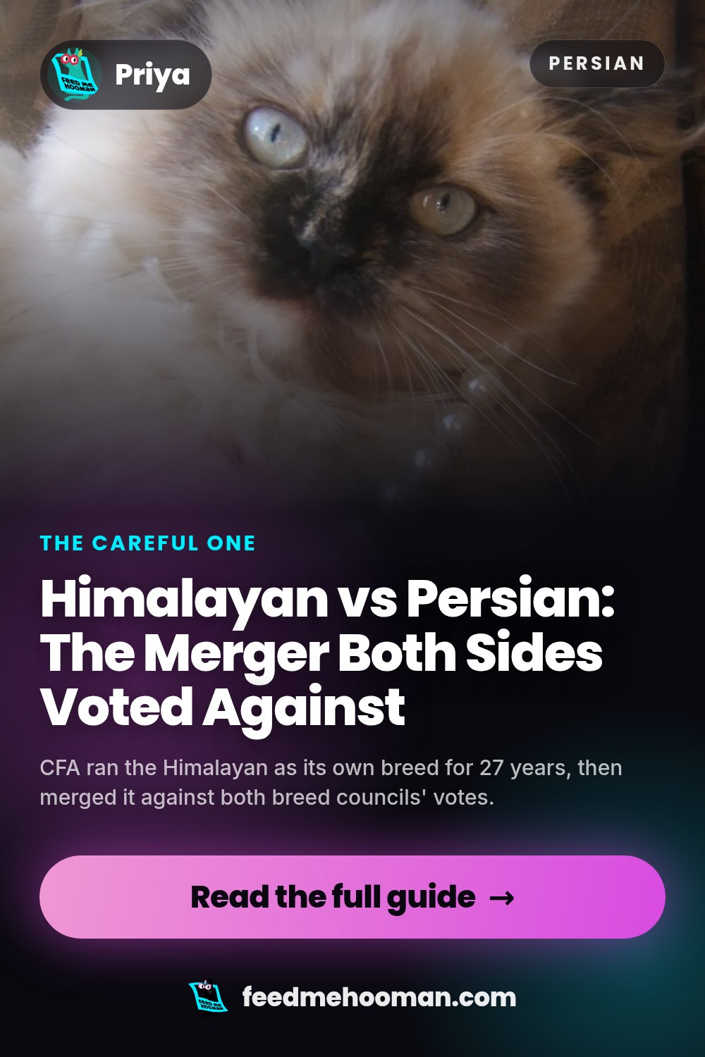 Himalayan vs Persian: The Merger Both Sides Voted Against