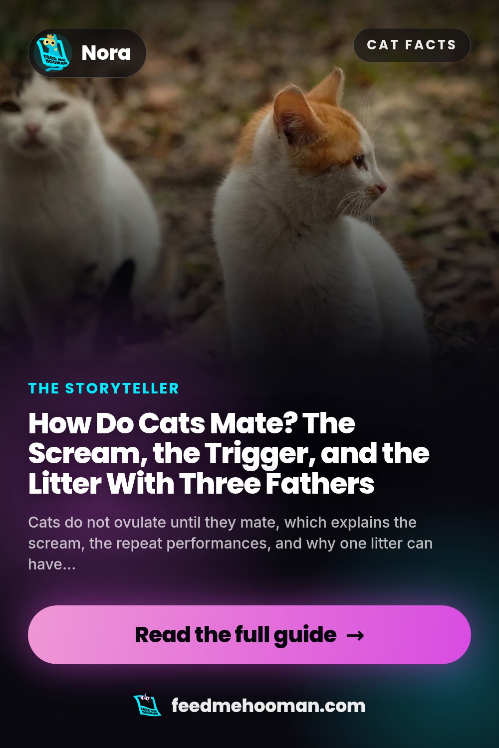 How Do Cats Mate? The Scream, the Trigger, and the Litter With Three Fathers