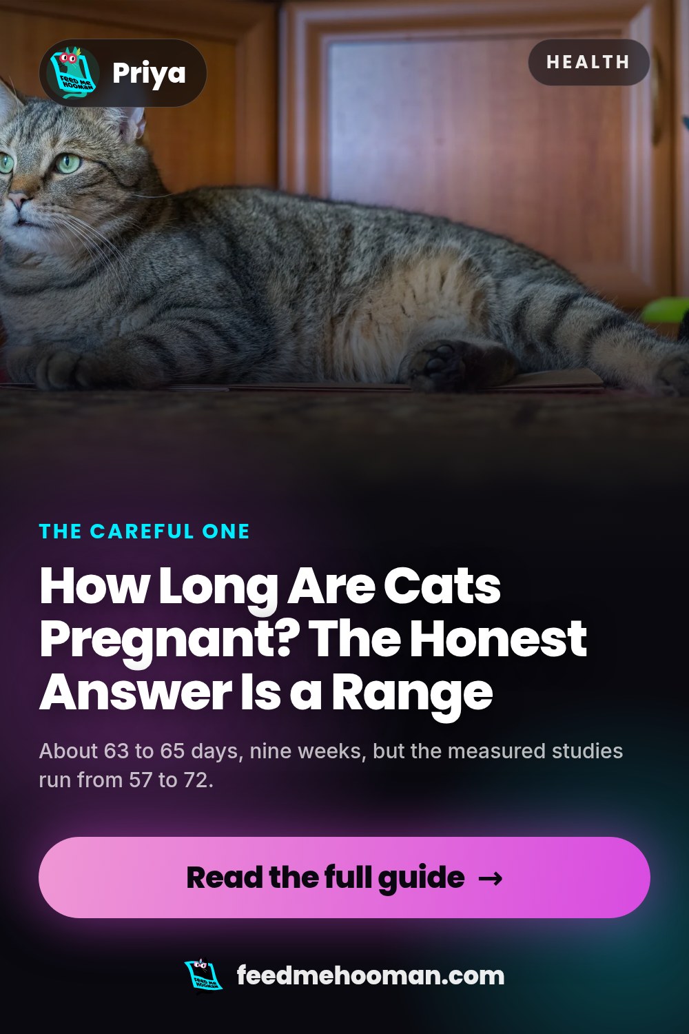 How Long Are Cats Pregnant? The Honest Answer Is a Range