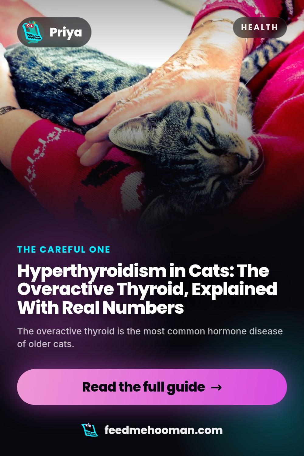 Hyperthyroidism in Cats: The Overactive Thyroid, Explained With Real Numbers