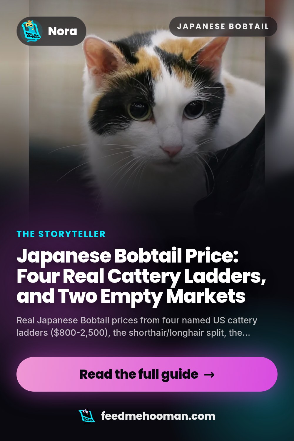 Japanese Bobtail Price: Four Real Cattery Ladders, and Two Empty Markets