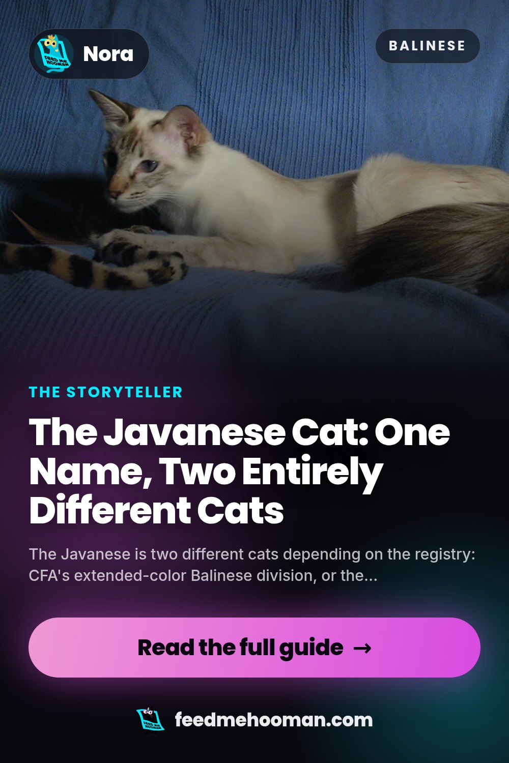 The Javanese Cat: One Name, Two Entirely Different Cats