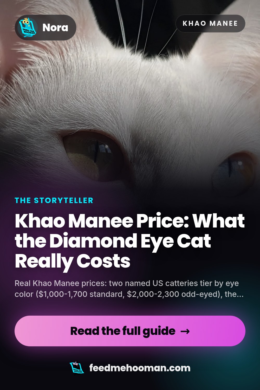 Khao Manee Price: What the Diamond Eye Cat Really Costs