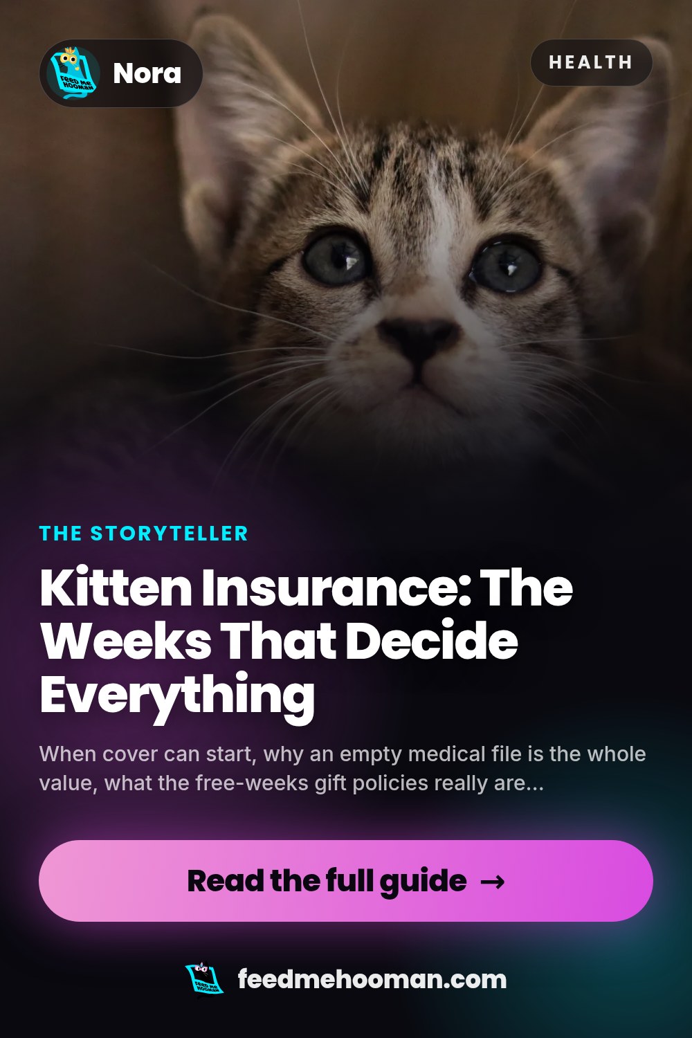 Kitten Insurance: The Weeks That Decide Everything