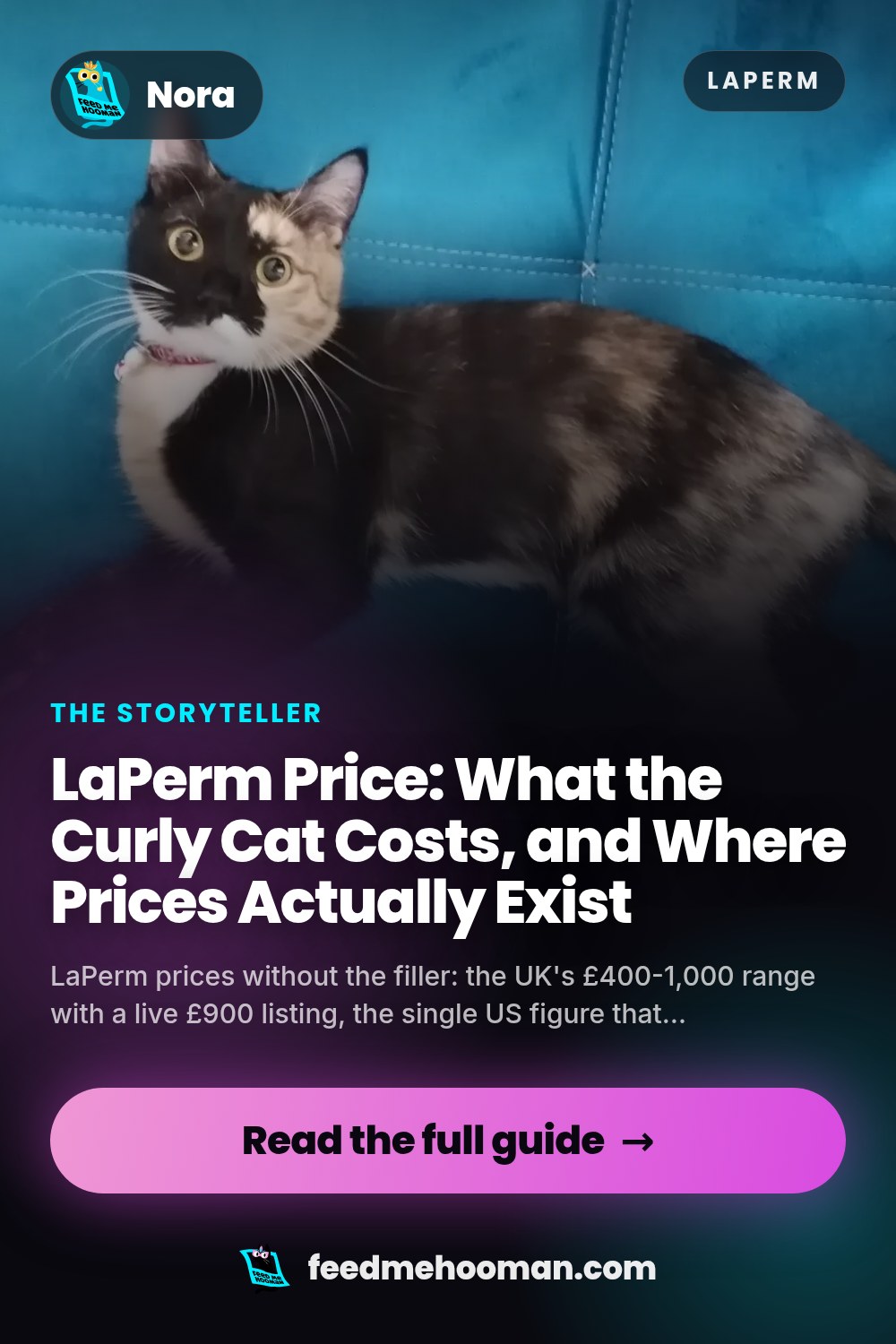LaPerm Price: What the Curly Cat Costs, and Where Prices Actually Exist