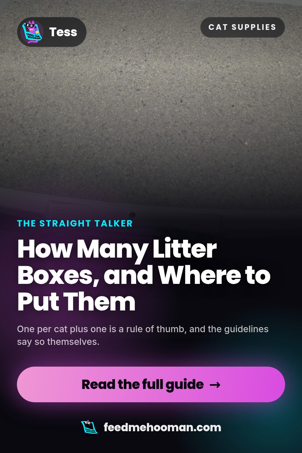 How Many Litter Boxes, and Where to Put Them