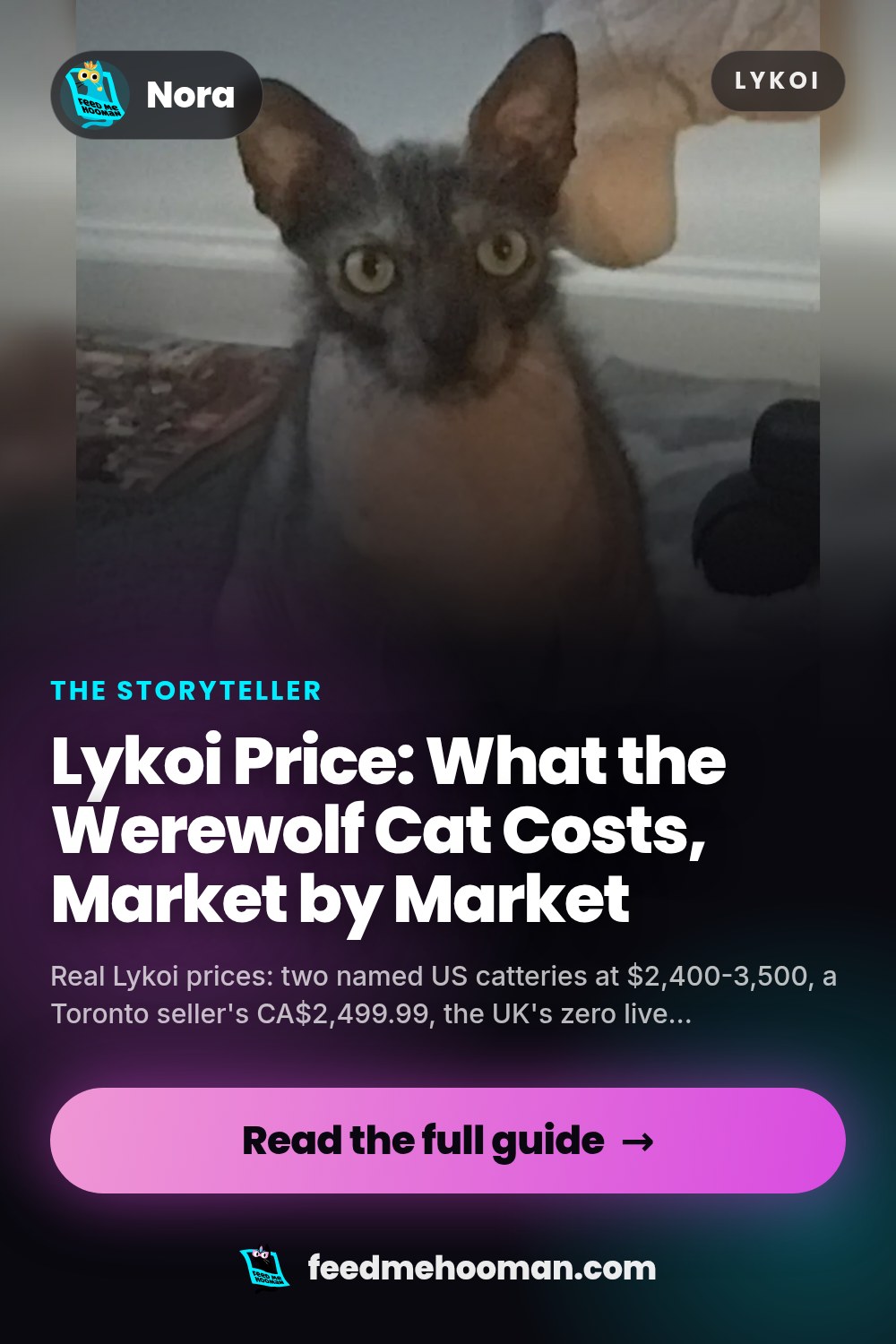Lykoi Price: What the Werewolf Cat Costs, Market by Market