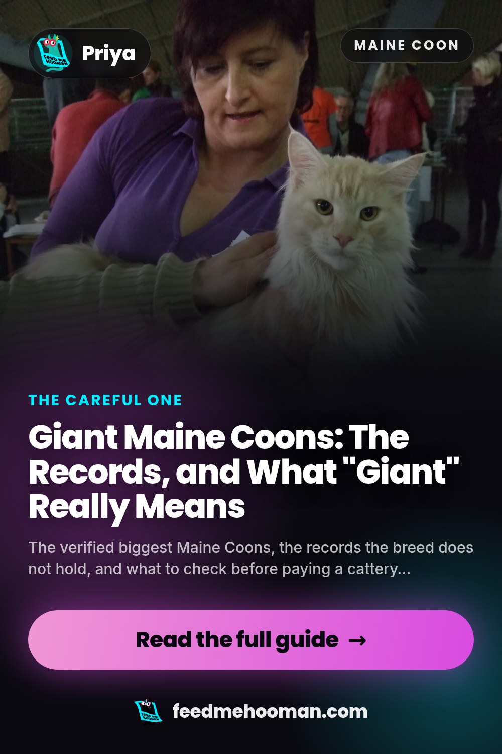 Giant Maine Coons: The Records, and What "Giant" Really Means