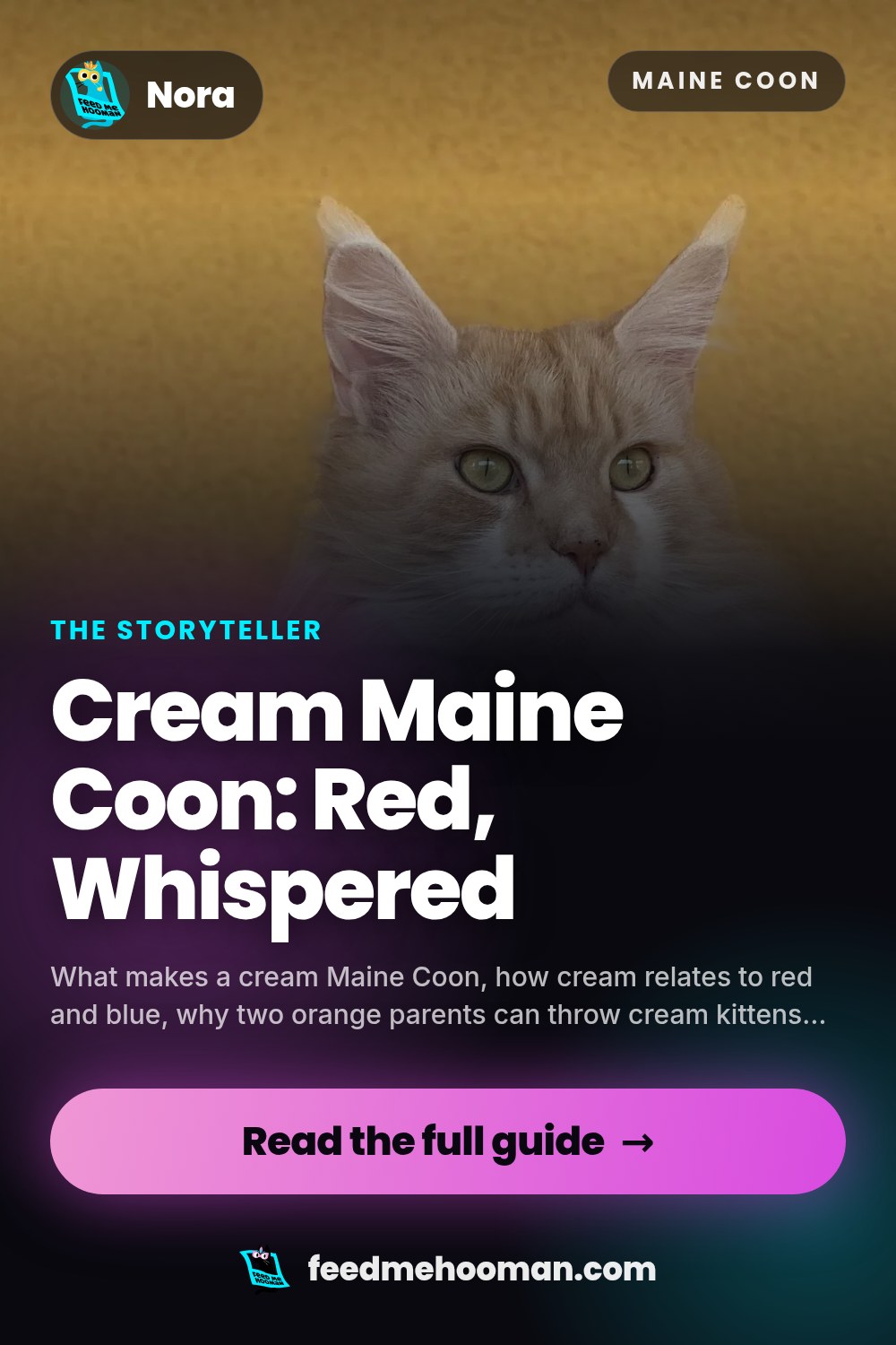 Cream Maine Coon: Red, Whispered