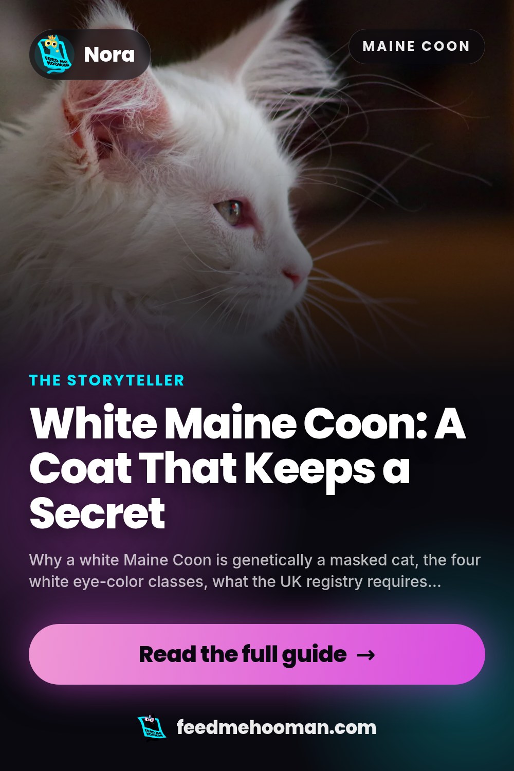 White Maine Coon: A Coat That Keeps a Secret