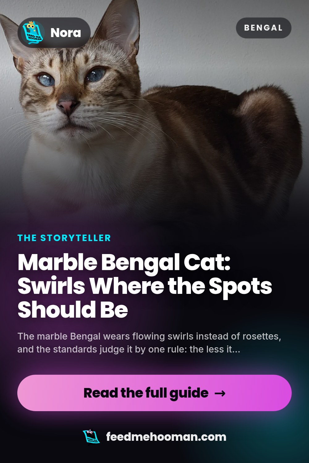 Marble Bengal Cat: Swirls Where the Spots Should Be