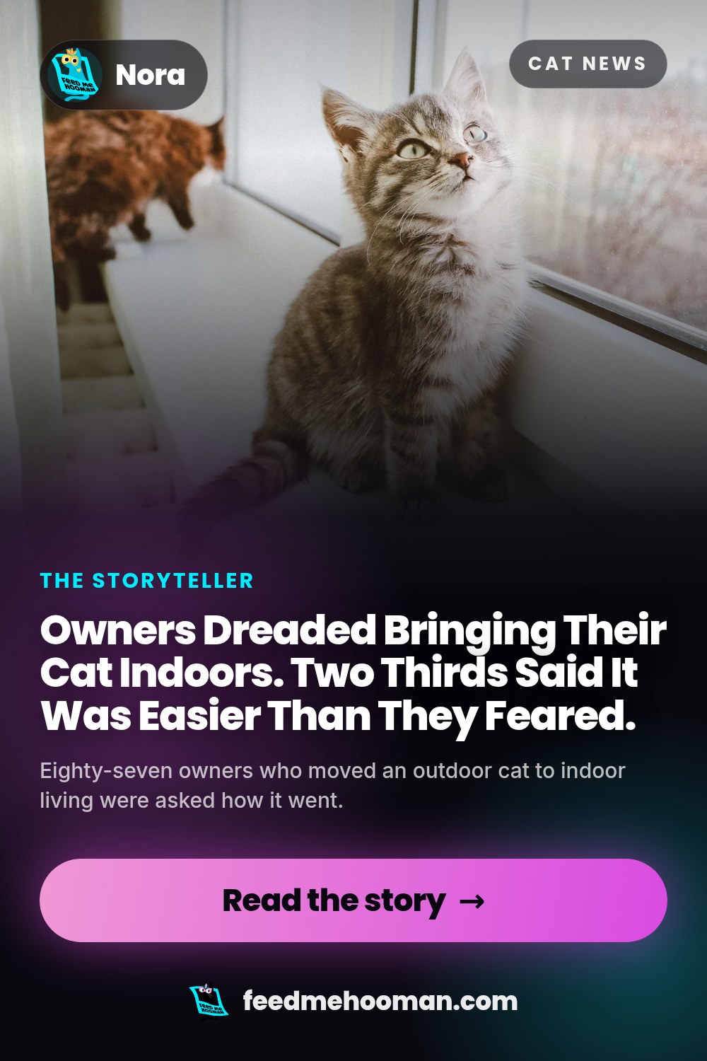 Owners Dreaded Bringing Their Cat Indoors. Two Thirds Said It Was Easier Than They Feared.