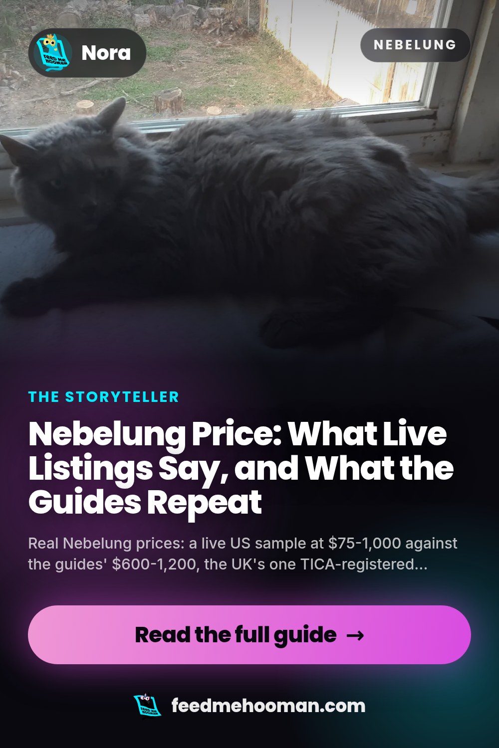 Nebelung Price: What Live Listings Say, and What the Guides Repeat