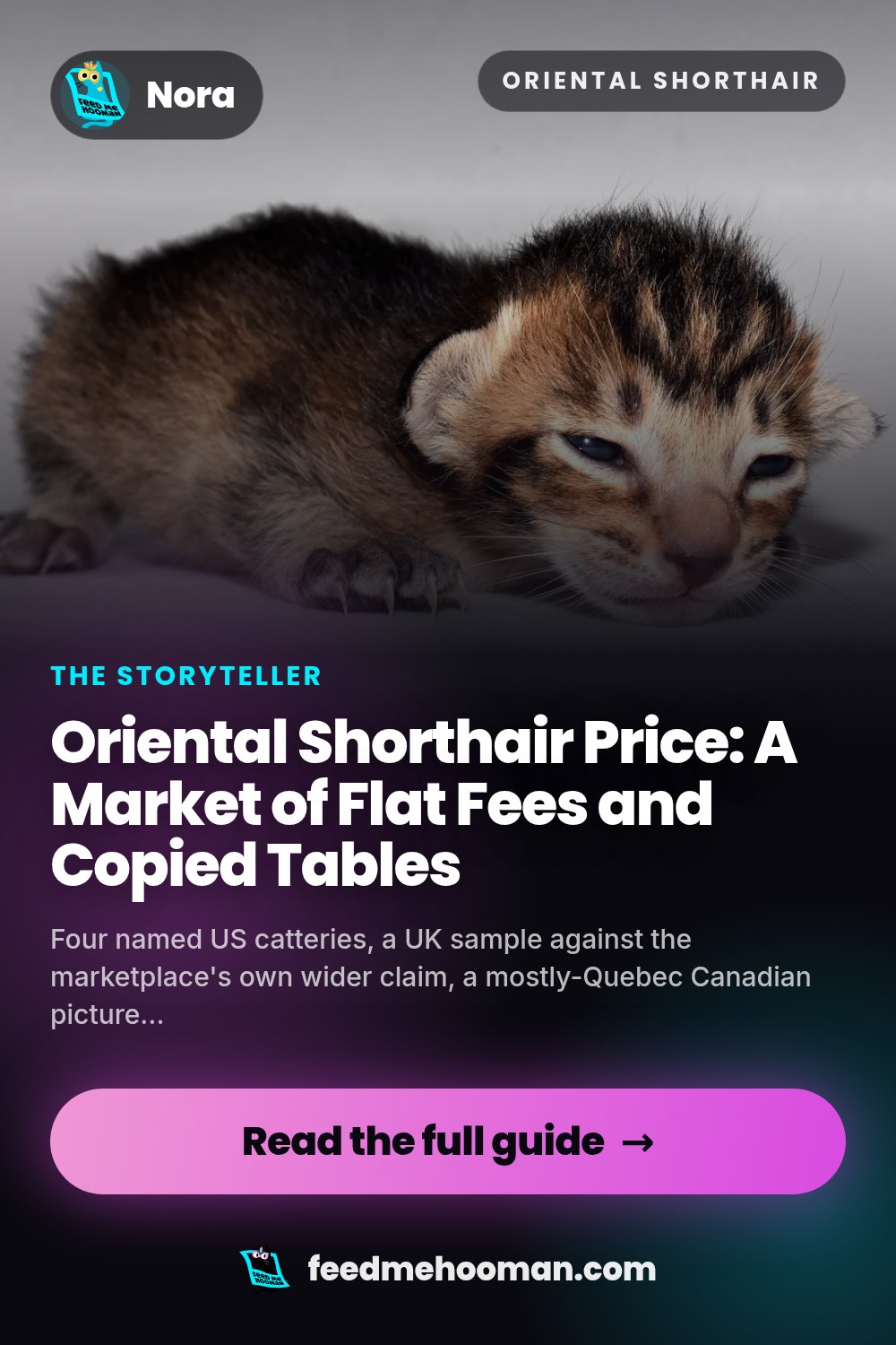 Oriental Shorthair Price: A Market of Flat Fees and Copied Tables
