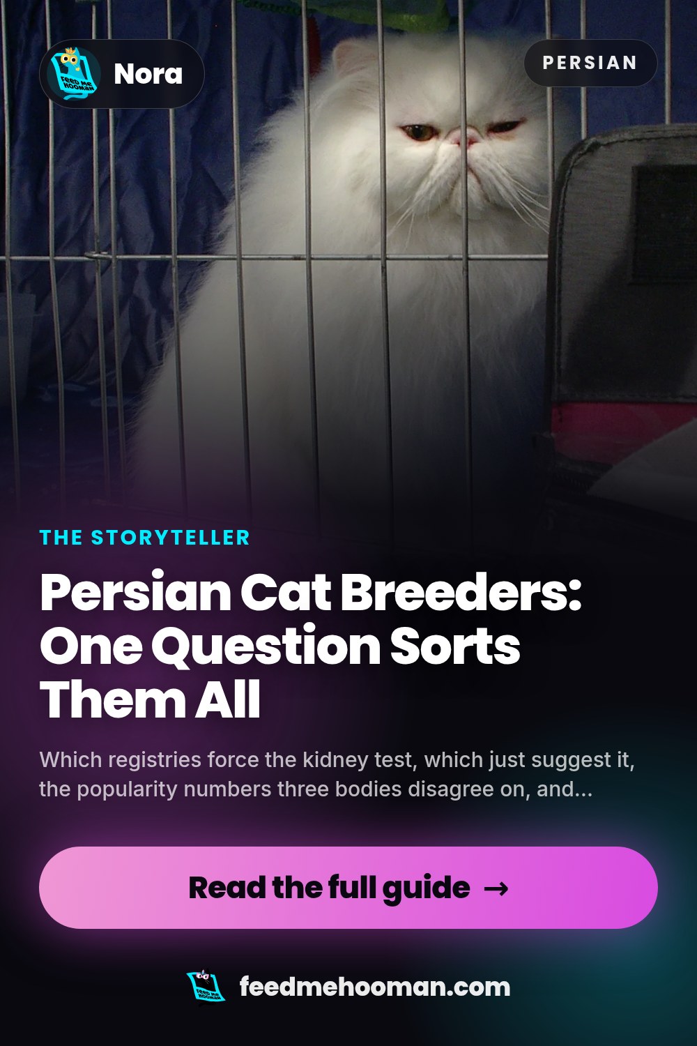 Persian Cat Breeders: One Question Sorts Them All