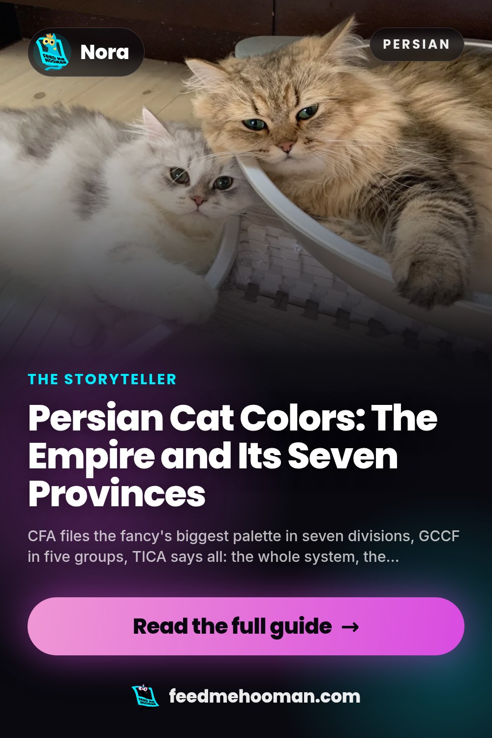 Persian Cat Colors: The Empire and Its Seven Provinces