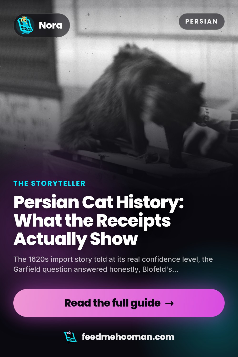 Persian Cat History: What the Receipts Actually Show