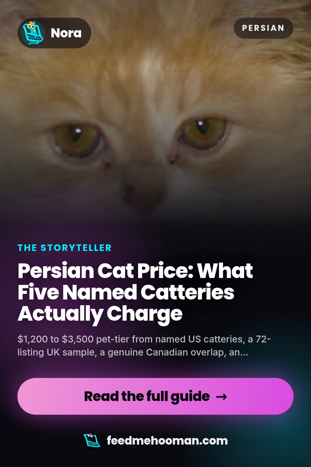 Persian Cat Price: What Five Named Catteries Actually Charge