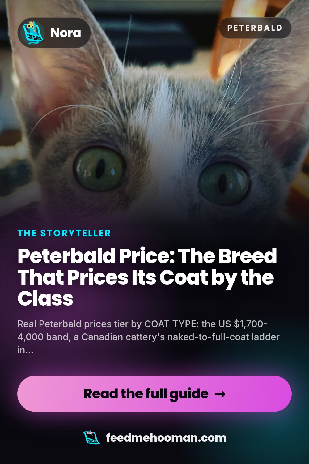 Peterbald Price: The Breed That Prices Its Coat by the Class