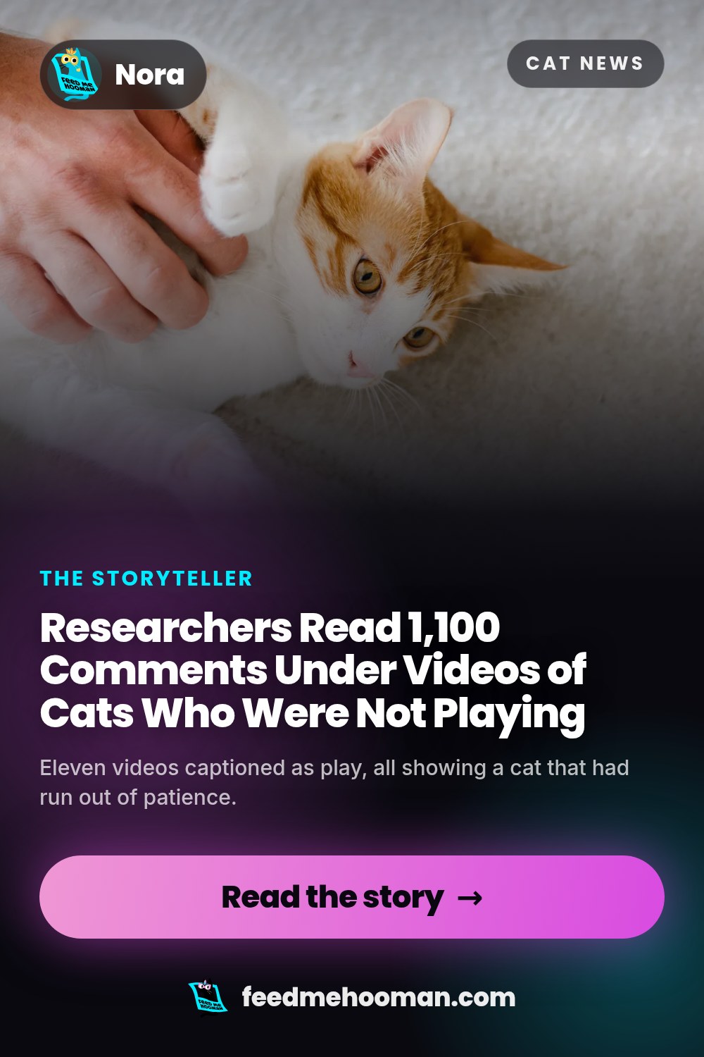 Researchers Read 1,100 Comments Under Videos of Cats Who Were Not Playing