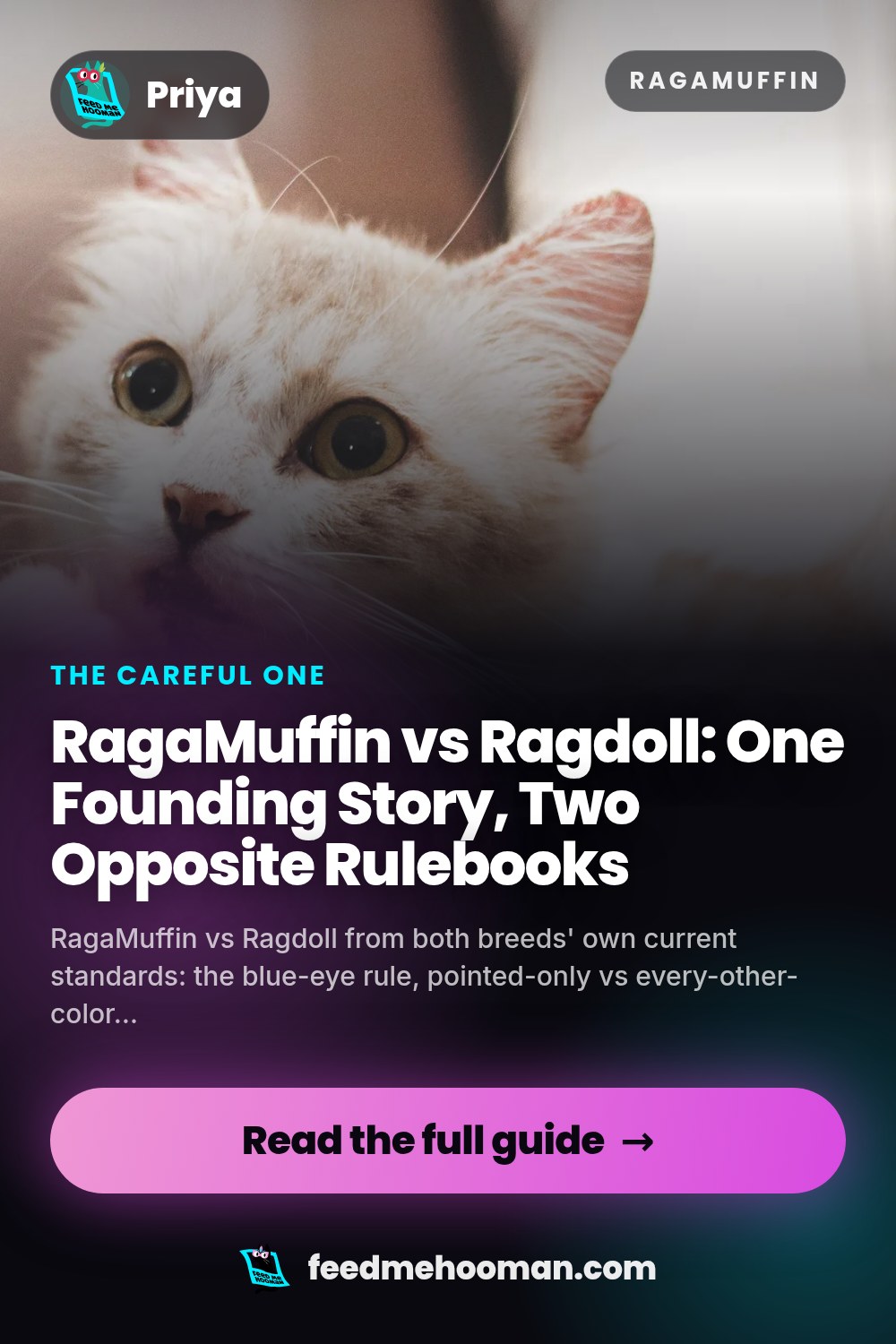 RagaMuffin vs Ragdoll: One Founding Story, Two Opposite Rulebooks