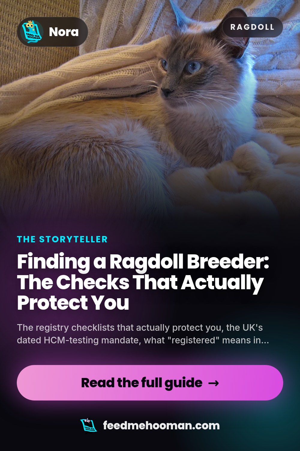 Finding a Ragdoll Breeder: The Checks That Actually Protect You