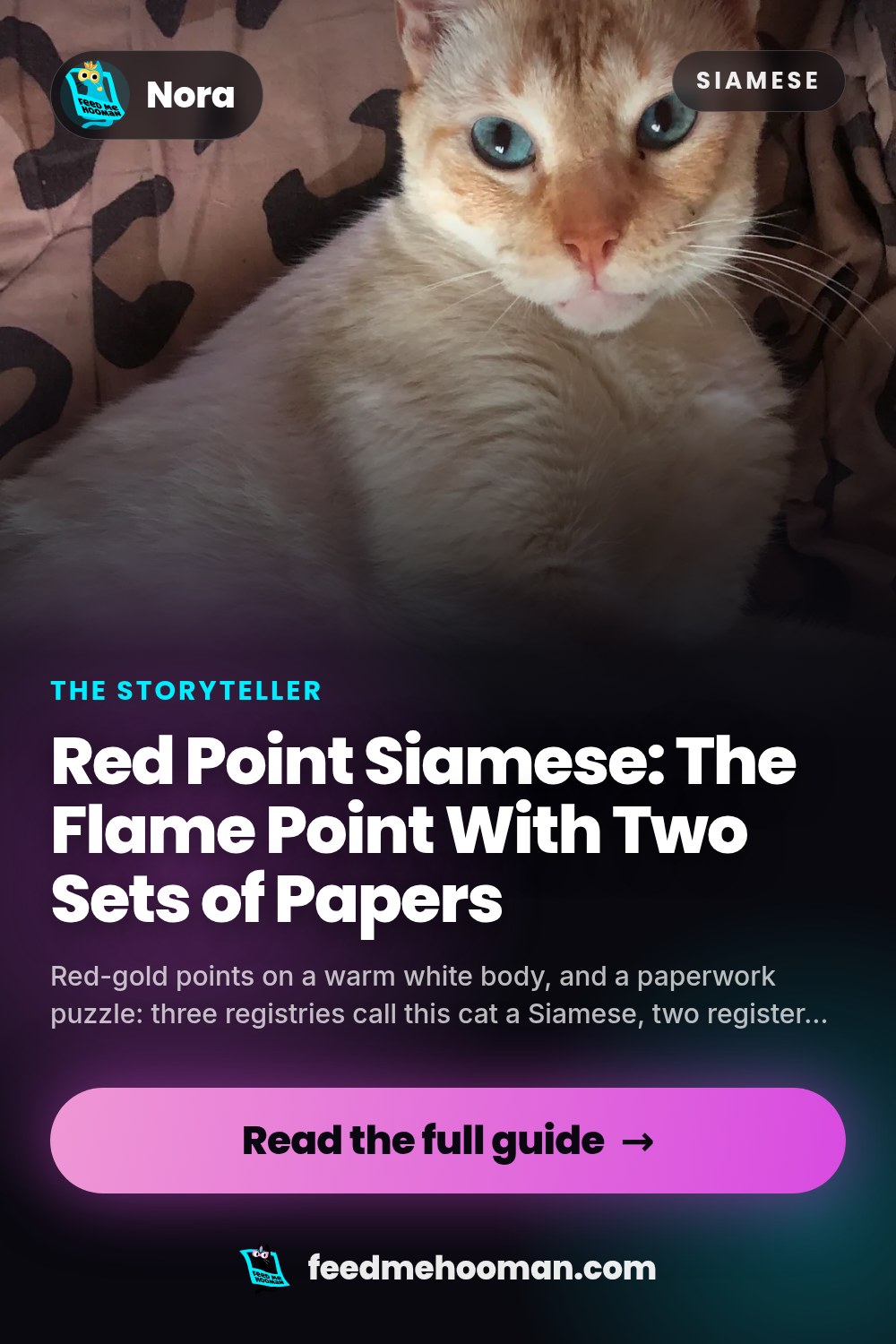 Red Point Siamese: The Flame Point With Two Sets of Papers