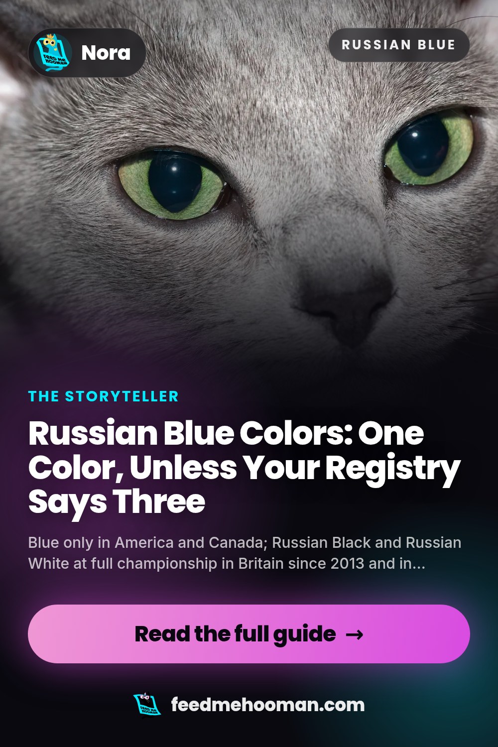 Russian Blue Colors: One Color, Unless Your Registry Says Three