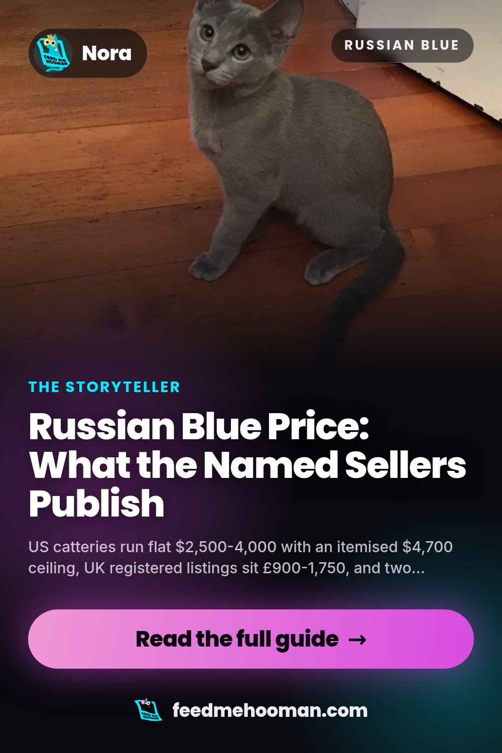 Russian Blue Price: What the Named Sellers Publish