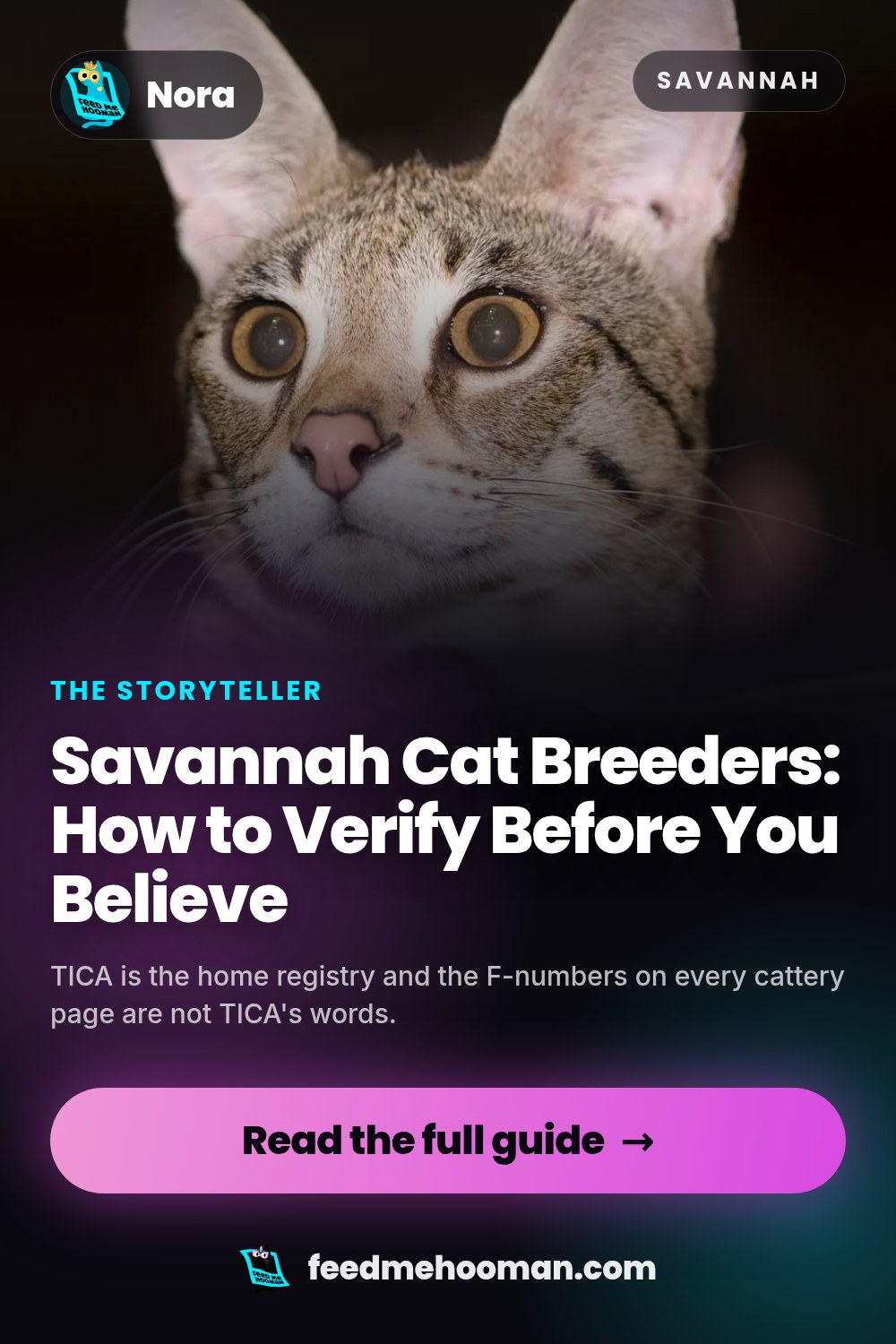 Savannah Cat Breeders: How to Verify Before You Believe