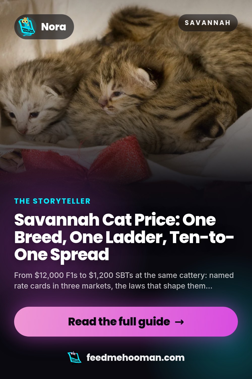 Savannah Cat Price: One Breed, One Ladder, Ten-to-One Spread