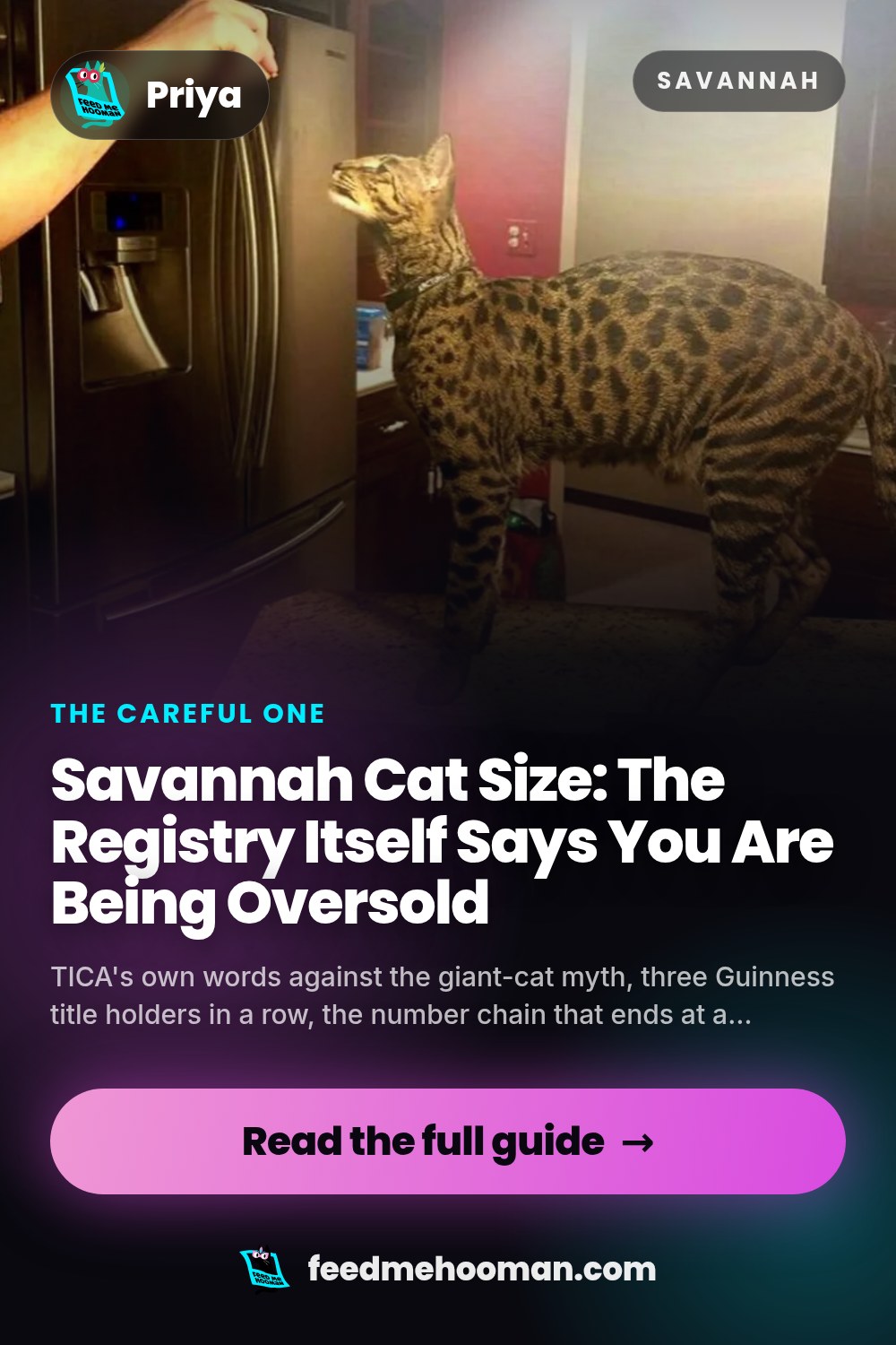 Savannah Cat Size: The Registry Itself Says You Are Being Oversold