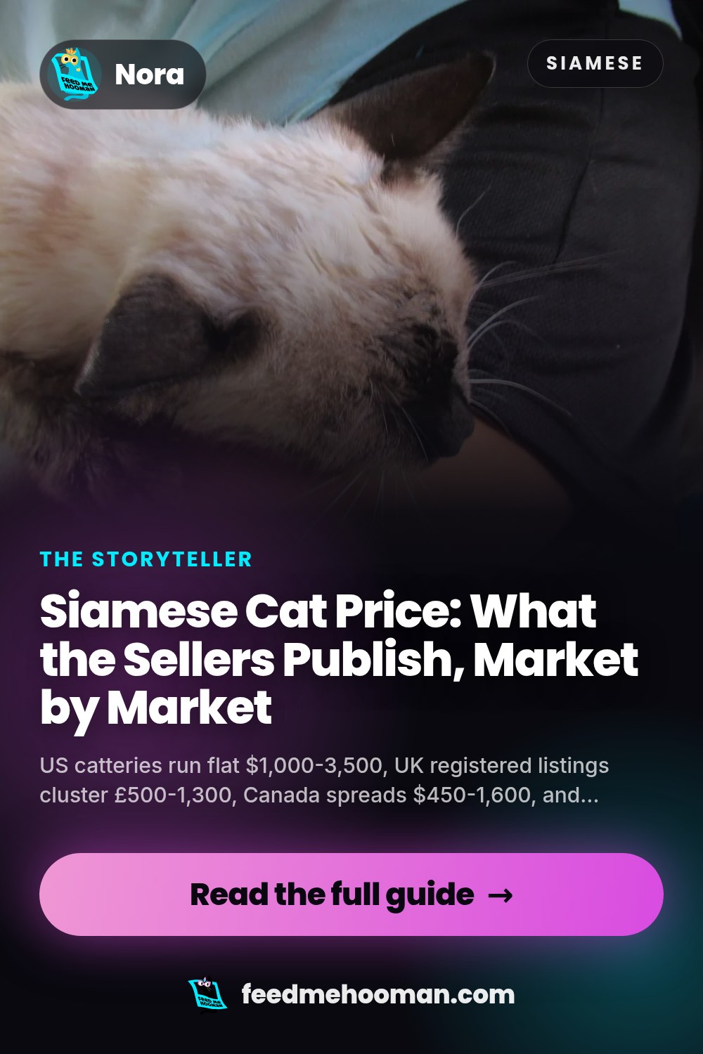 Siamese Cat Price: What the Sellers Publish, Market by Market
