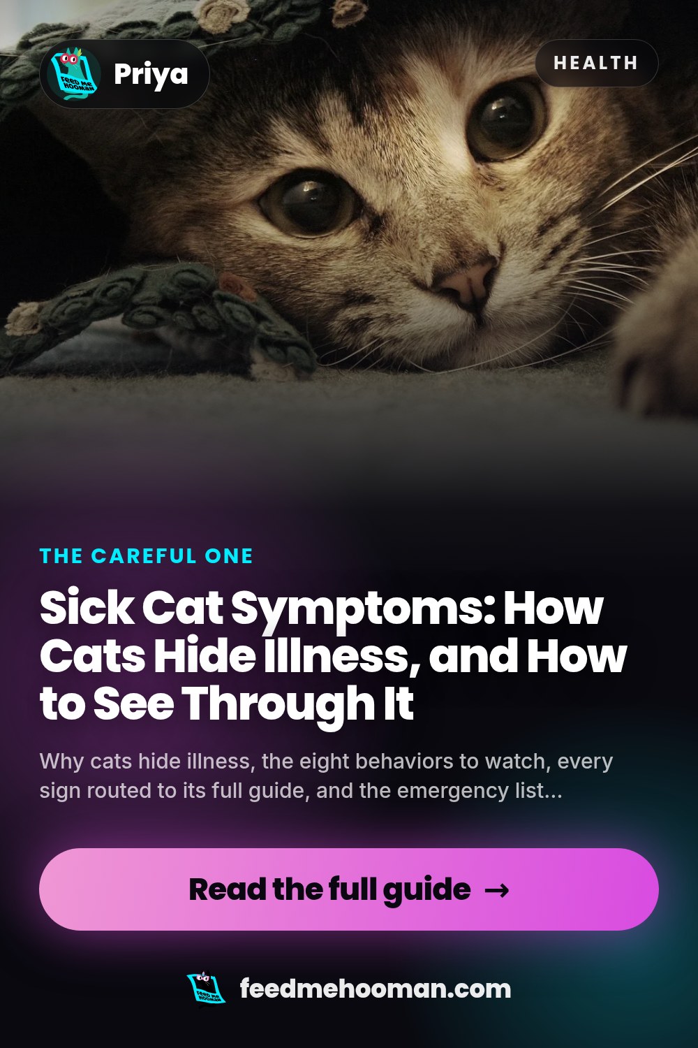 Sick Cat Symptoms: How Cats Hide Illness, and How to See Through It
