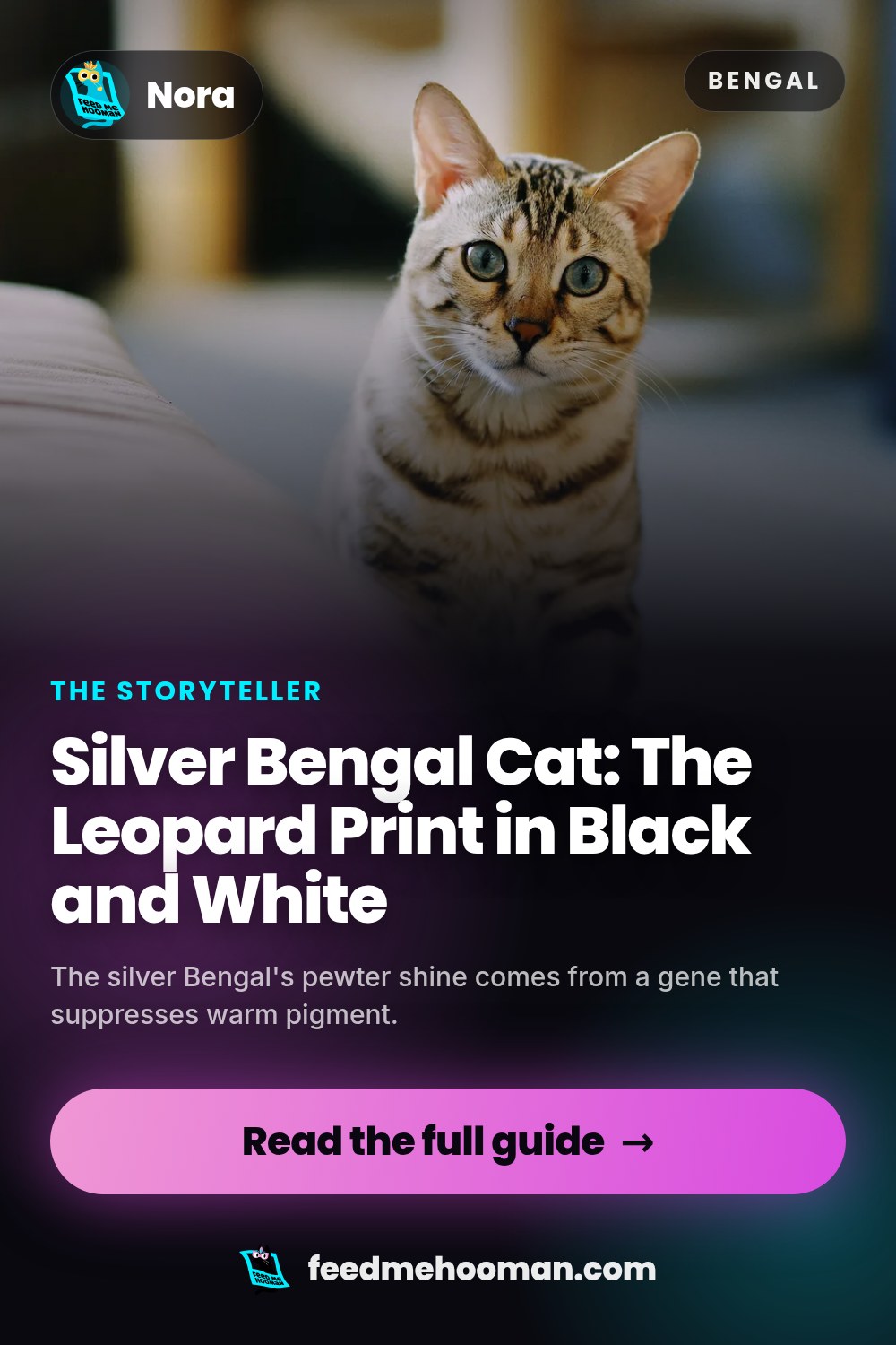 Silver Bengal Cat: The Leopard Print in Black and White