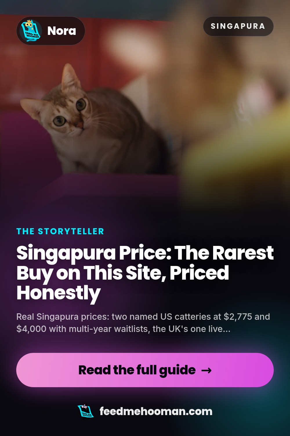 Singapura Price: The Rarest Buy on This Site, Priced Honestly