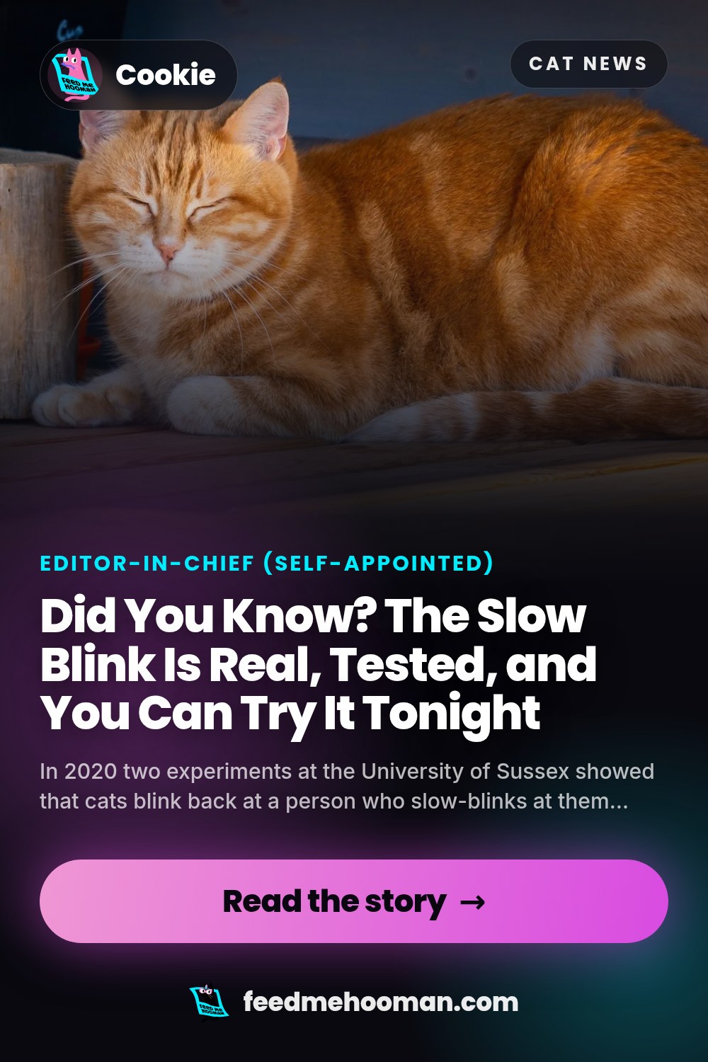 Did You Know? The Slow Blink Is Real, Tested, and You Can Try It Tonight