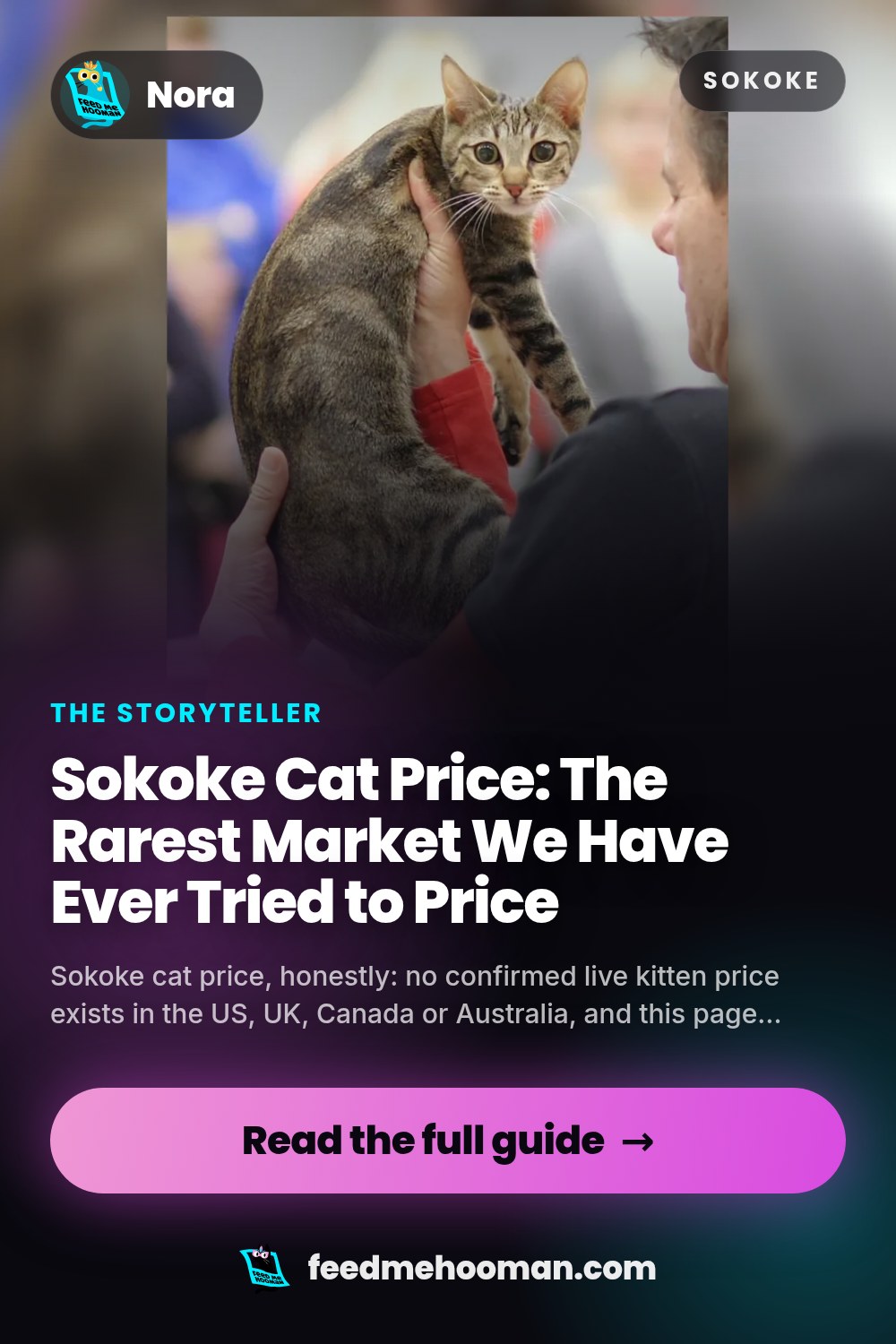 Sokoke Cat Price: The Rarest Market We Have Ever Tried to Price