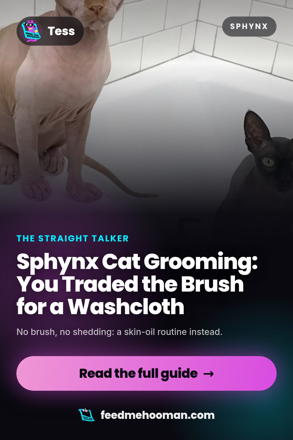 Sphynx Cat Grooming: You Traded the Brush for a Washcloth