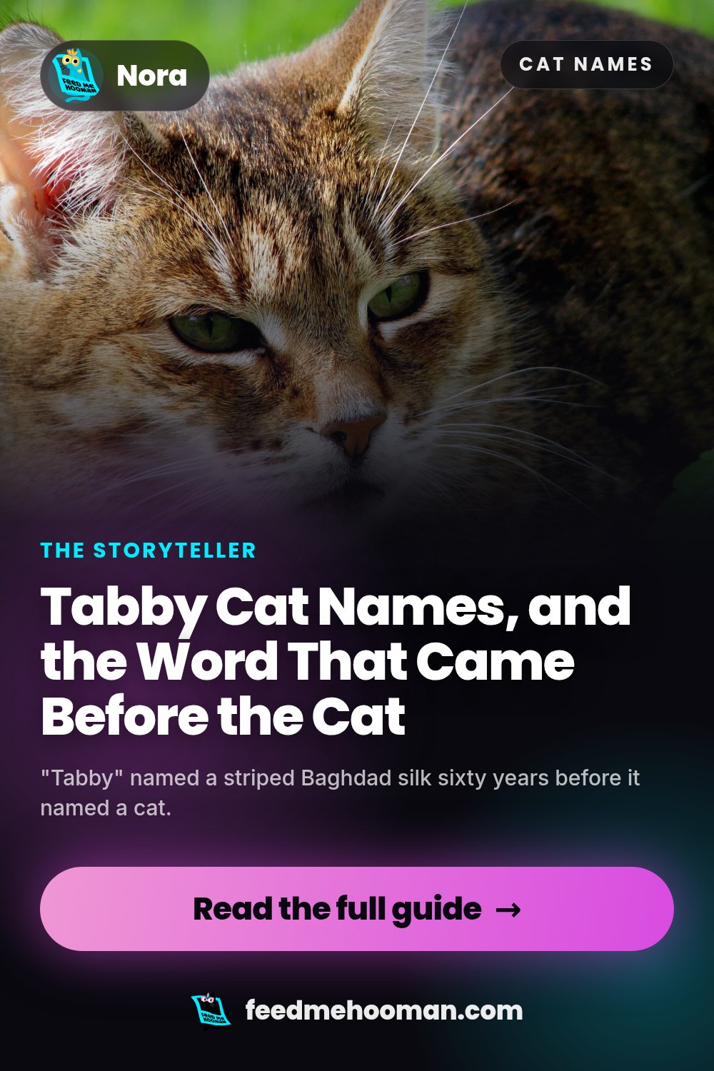 Tabby Cat Names, and the Word That Came Before the Cat