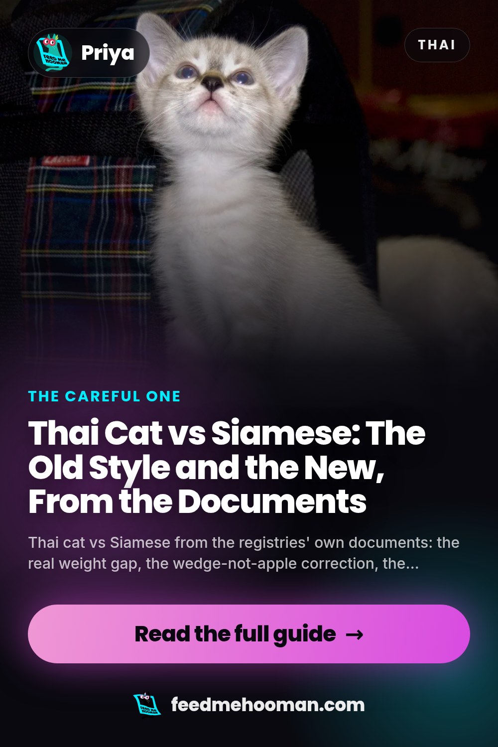 Thai Cat vs Siamese: The Old Style and the New, From the Documents